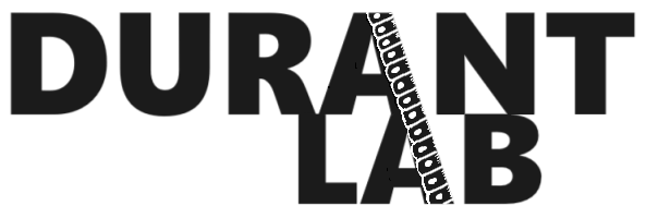 at the University of Washington in Seattle